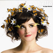 Tiger Darrow - Hello