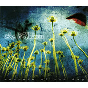 The Kildares - Secrets of the Day