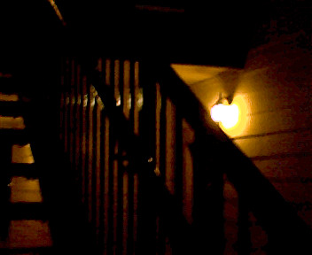 Vivitar Mini Digital Camera photo