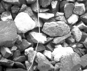 Vivitar Mini Digital Camera photo