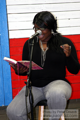 Dana at the Lost Art Open Mic